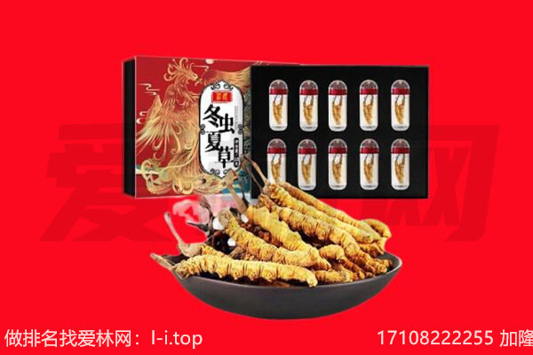 泸州市江阳回收虫草.jpg